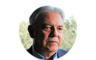 Las fajanas de Tajogaite Las fajanas de Tajogaite