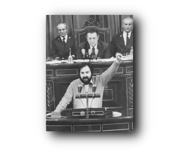 El Congreso español condena una resolución de la OUA sobre Canarias 22 de febrero de 1978