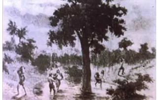 Un temporal destruye el Garoé en la isla de El Hierro 7 de abril de 1610 Un temporal destruye el Garoé en la isla de El Hierro 7 de abril de 1610