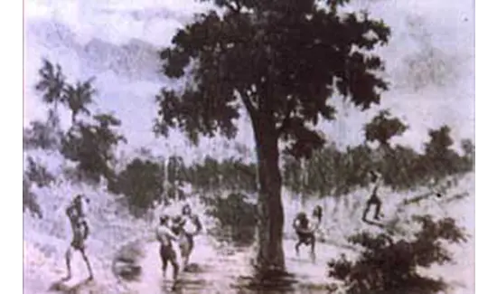 Un temporal destruye el Garoé en la isla de El Hierro 7 de abril de 1610