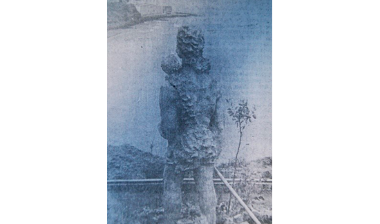 Decapitan en Tenerife la estatua del conquistador Fernández de Lugo 23 de mayo de 1977