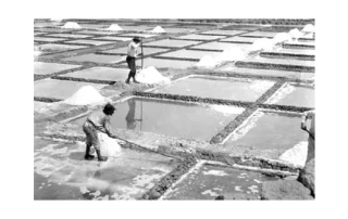 Huelga en las salinas lanzaroteñas del Janubio 16 de agosto de 1931 Huelga en las salinas lanzaroteñas del Janubio 16 de agosto de 1931