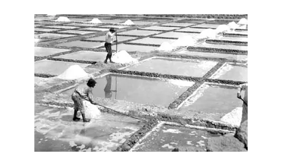 Huelga en las salinas lanzaroteñas del Janubio 16 de agosto de 1931
