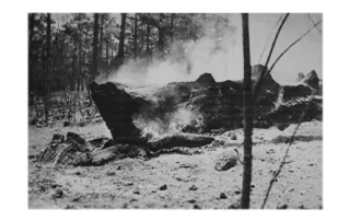 Otro incendio forestal castiga al sector primario palmero 18 de septiembre de 1988 Otro incendio forestal castiga al sector primario palmero 18 de septiembre de 1988