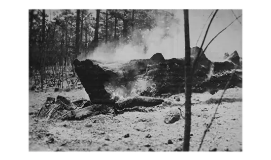 Otro incendio forestal castiga al sector primario palmero 18 de septiembre de 1988