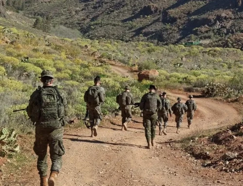 Canarias bajo estado de sitio: la recolonización armada