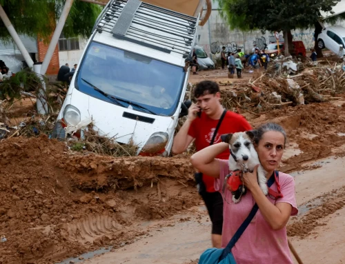 El Estado español invierte cuatro veces más en destruir la naturaleza que en cuidarla