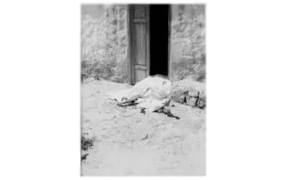 Legionarios asesinan al alcalde pedáneo del barrio majorero de Güisguey 27 de abril de 1976 Legionarios asesinan al alcalde pedáneo del barrio majorero de Güisguey 27 de abril de 1976