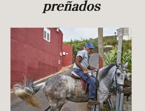 Nueva novela de Andrea Abreu
