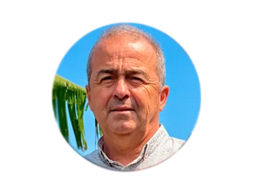Mejillón electoral